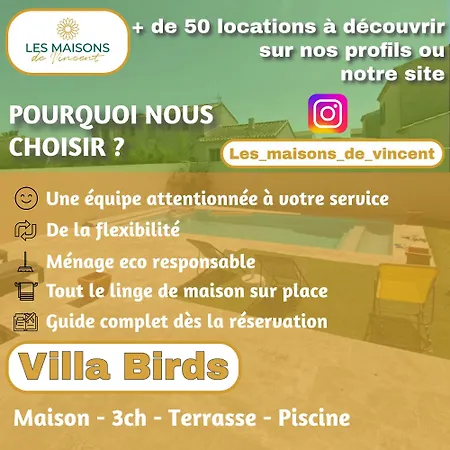Birds Villa, Piscine Chauffee, Clim, Garage, Wifi Villa *